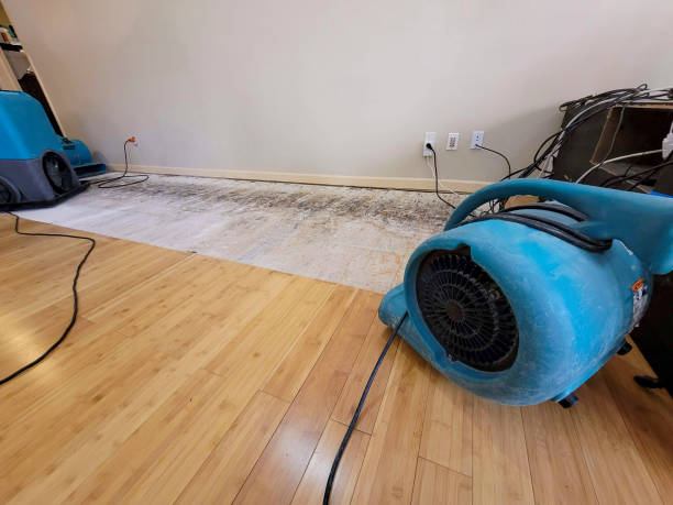 Reliable Basement Flood Cleanup contractor in Estes Park, CO by Hirex Water Damage