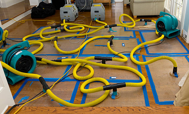 Professional Basement Flood Cleanup technician working in Estes Park, CO